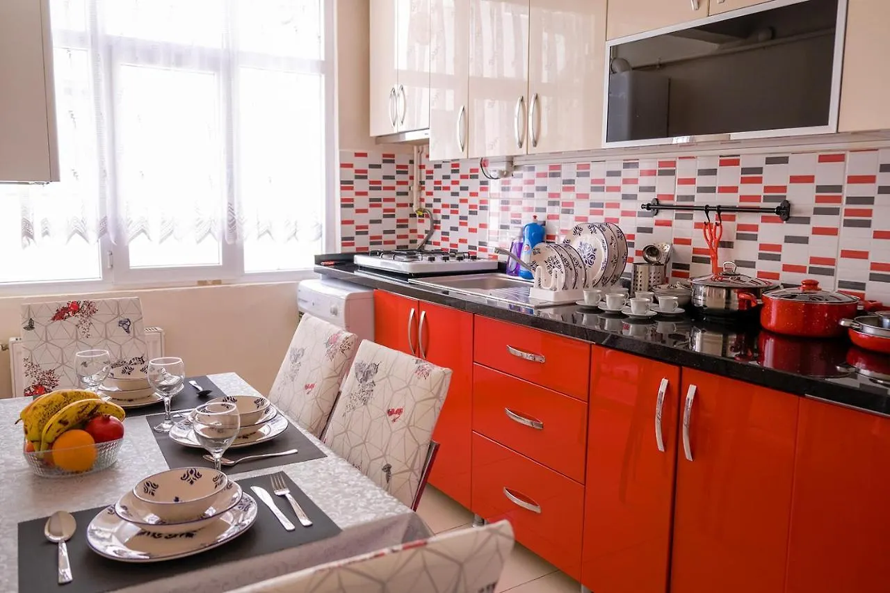 3+1 New Kadikoy Istanbul Entire Flat Furnished Apartment For Rent In The Heart Of Kadikoy! 土耳其